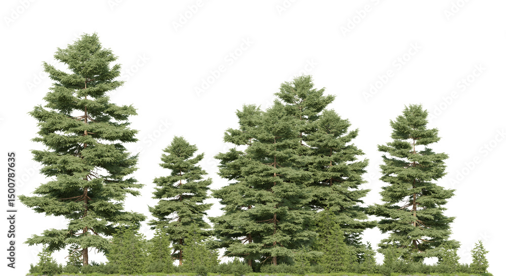 Aufkleber the large pine trees and grass field in forest, 3d rendering with isolated png on a transparent back