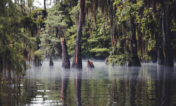 Still Waters of Caddo Dawn