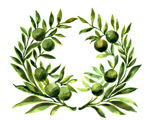 watercolor sketch of a wreath of olive branches