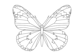 vector realistic butterfly. Cartoon black and white clip art isolated on transparent background. Hand drown design element.