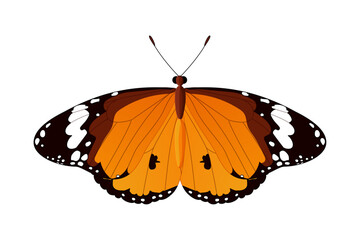 vector realistic butterfly. Cartoon color volume clip art isolated on transparent background. Hand drown design element.
