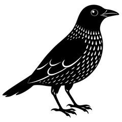 bird on a branch
