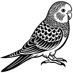 Obraz premium bird on a branch