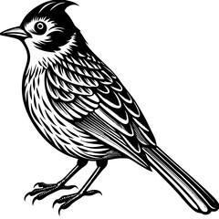 Obraz premium bird on a branch