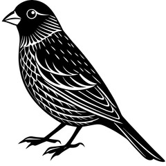 vector illustration of a bird