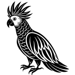 black and white parrot