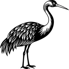 Obraz premium black crowned crane