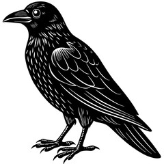 crow on a branch