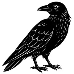 eagle vector illustration