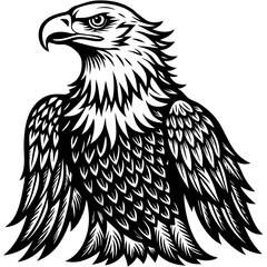 eagle vector illustration