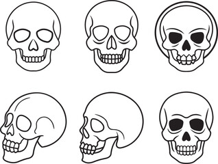 skulls and bones