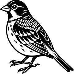 bird on a branch