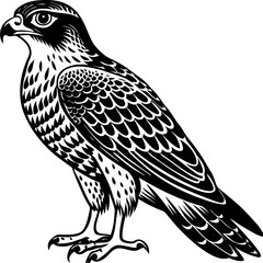 eagle cartoon isolated on white