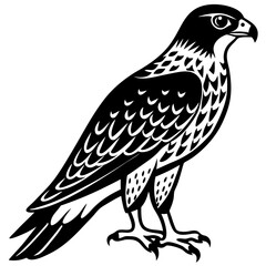 bird of prey