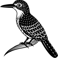vector illustration of a bird