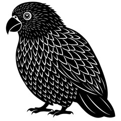 black and white bird