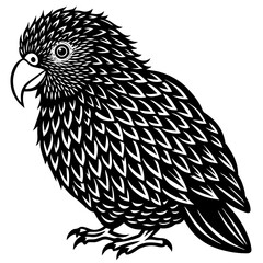 vector illustration of a bird