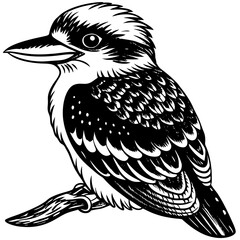 sketch of a bird