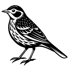 sketch of a bird