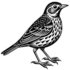 bird on a branch