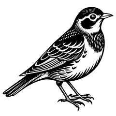 bird on a branch