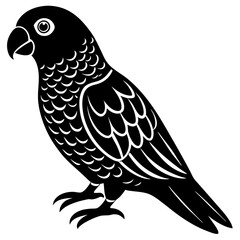 bird of prey