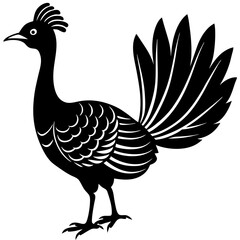 vector illustration of a chicken