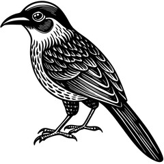 vector illustration of a bird