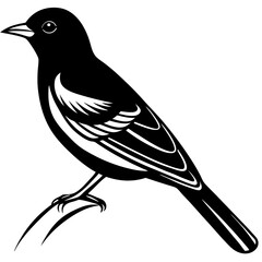 Obraz premium bird on a branch