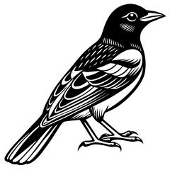 Obraz premium bird on a branch