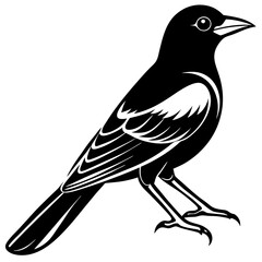 bird on a branch