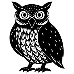 owl on white background