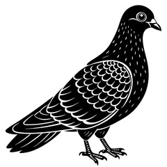 vector illustration of a bird