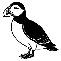 vector illustration of a bird