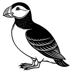 vector illustration of a bird