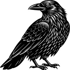 vector illustration of a eagle
