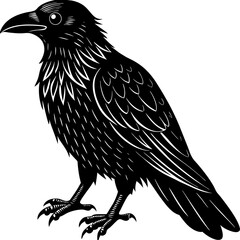 Fototapeta premium crow on a white background
