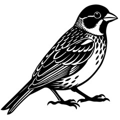 bird, animal, nature, sparrow, isolated, white, illustration, silhouette, vector, wildlife, branch, feather, beak, black, wild, crow, birds, tree, fly, wing, drawing, bullfinch, art, winter