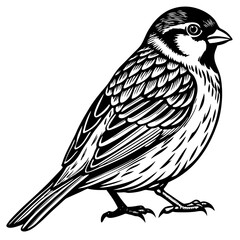 sketch of a bird