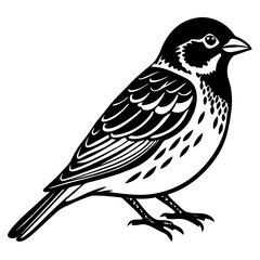 bird on a branch isolated