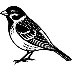 bird on a branch