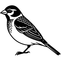 Obraz premium vector illustration of a bird