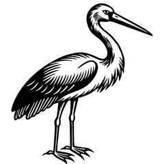vector illustration of a stork