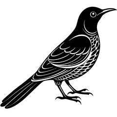 bird on a branch