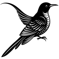 vector illustration of a bird