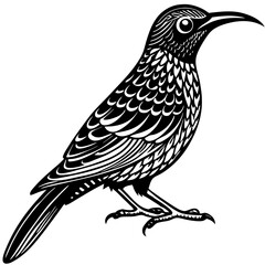 sketch of a bird