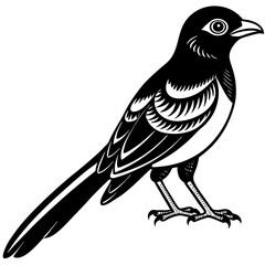 bird, animal, illustration, vector, nature, silhouette, black, crow, isolated, raven, white, feather, birds, bullfinch, wing, wildlife, branch, art, beak, cartoon, tree, magpie, drawing, winter, fly