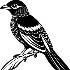 vector illustration of a bird
