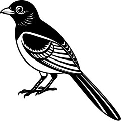 Obraz premium bird on a branch