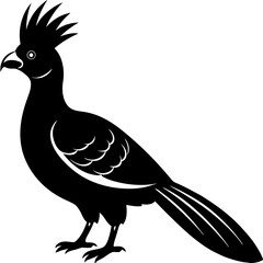 bird on a white background